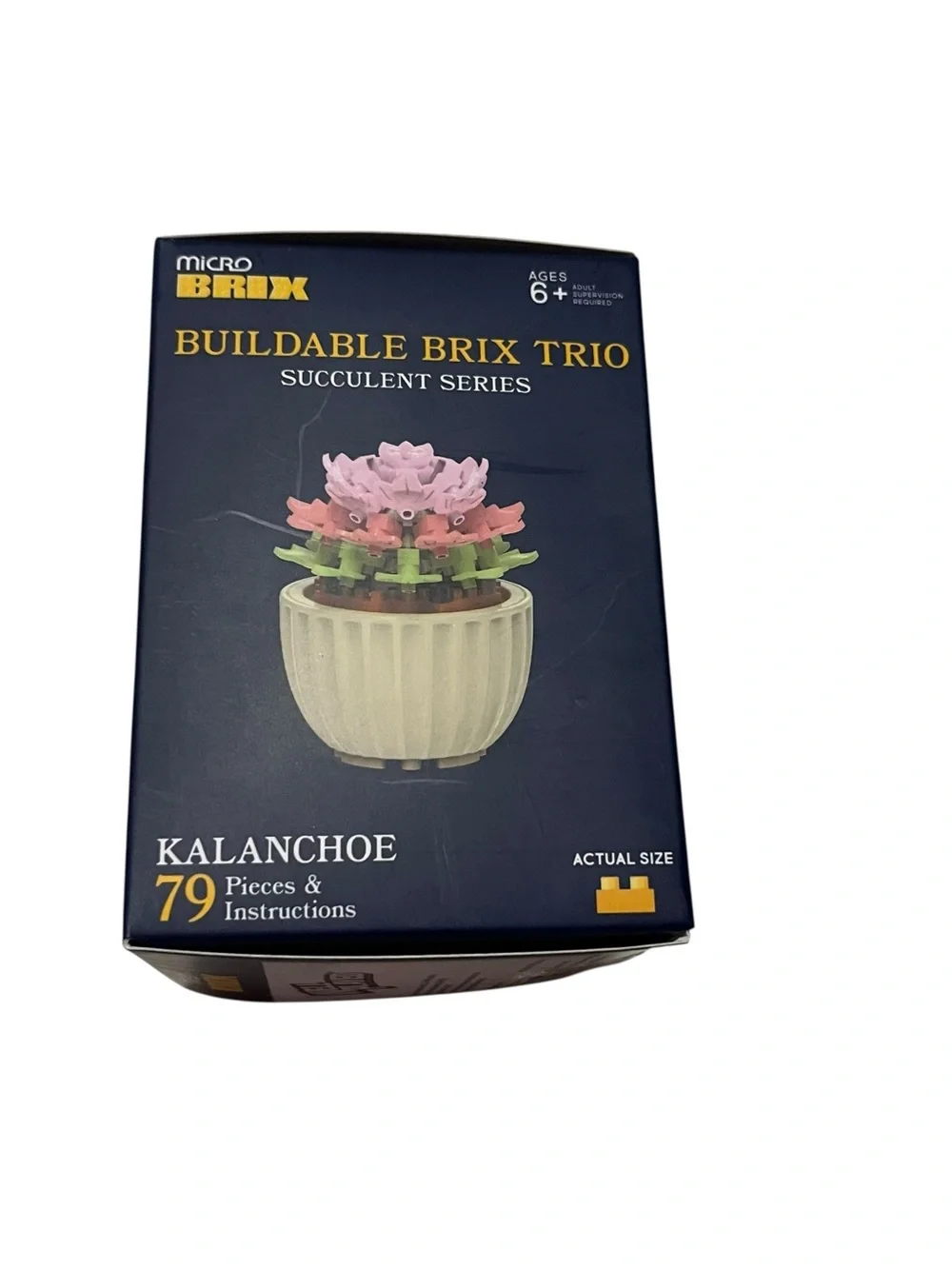 Buildable micro brix succulent trio blocks plant kalanchoee new nib